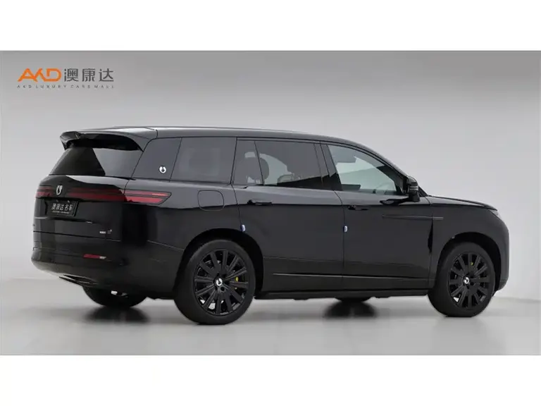 Denza N9 腾势N9/2.0 T/25款/尊荣型