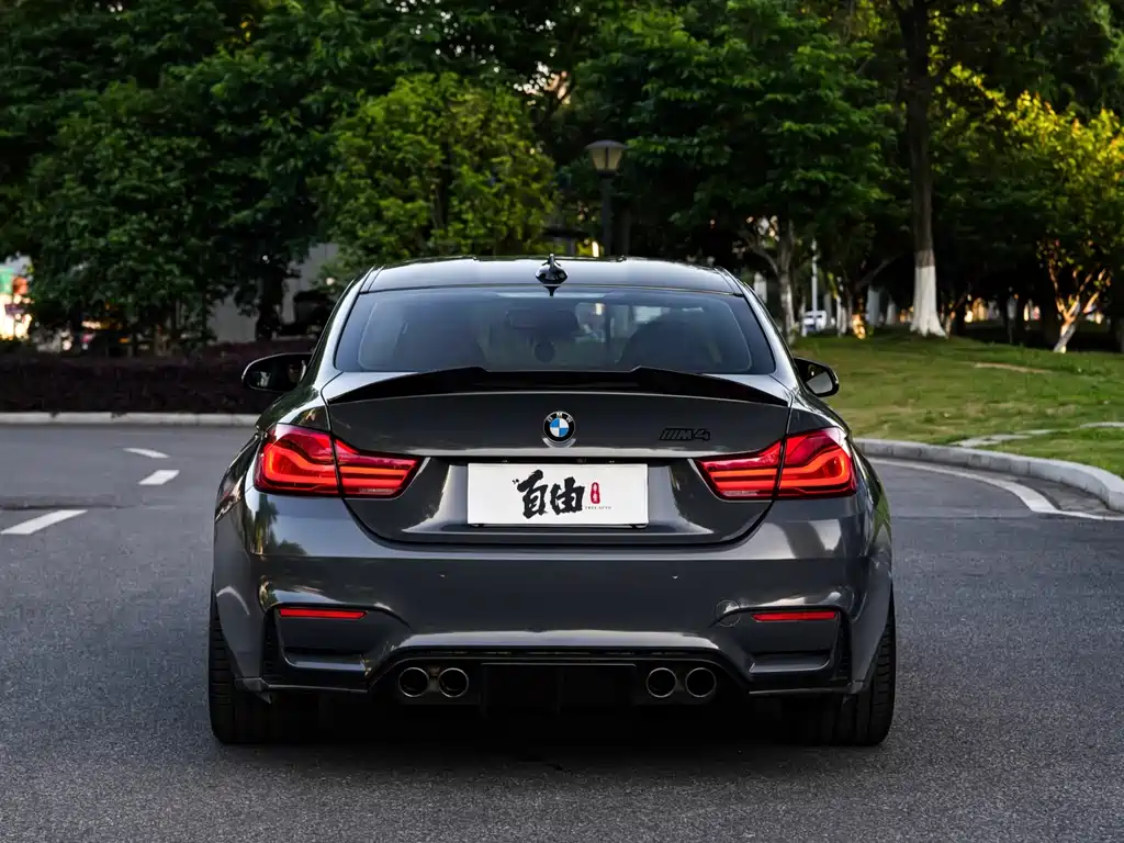 BMW M4 M4 2-door Coupe Shadow Hunter
