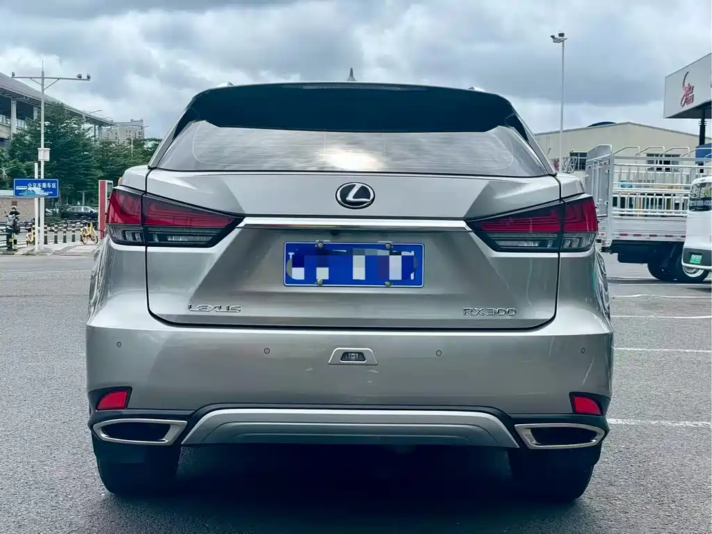Lexus RX 300 2 WD Elite CN-VI
