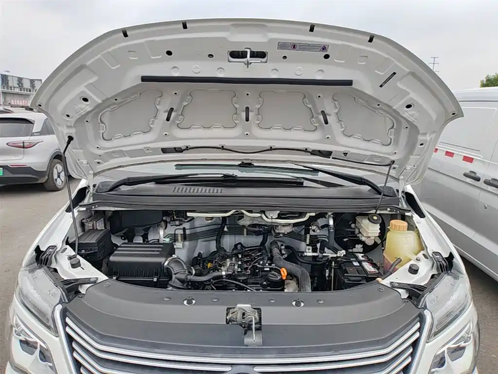 Lingzhi 菱智 2023款 V3 1.6 L 基本型 2座