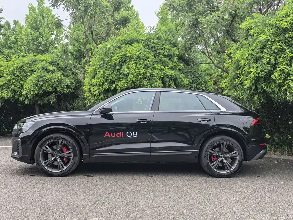 Audi Q8 55 TFSI Luxury Dynamic