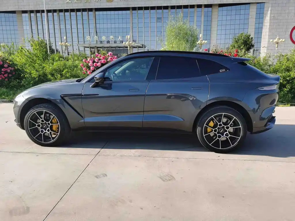 Aston Martin DBX 4.0 T V8 Return to Nature Realm