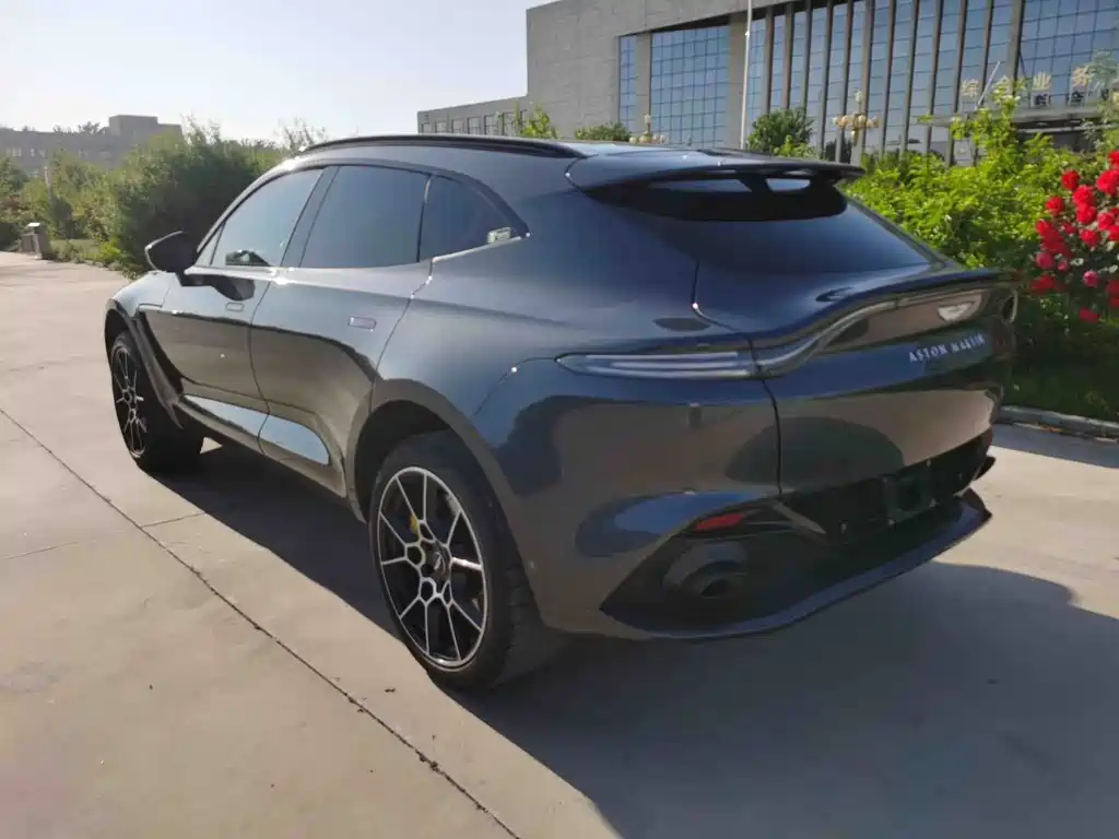 Aston Martin DBX 4.0 T V8 Return to Nature Realm