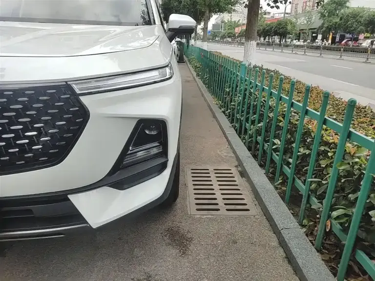 Baojun RS-5 1.5 T CVT Intelligent Drive Control Luxury CN-VI