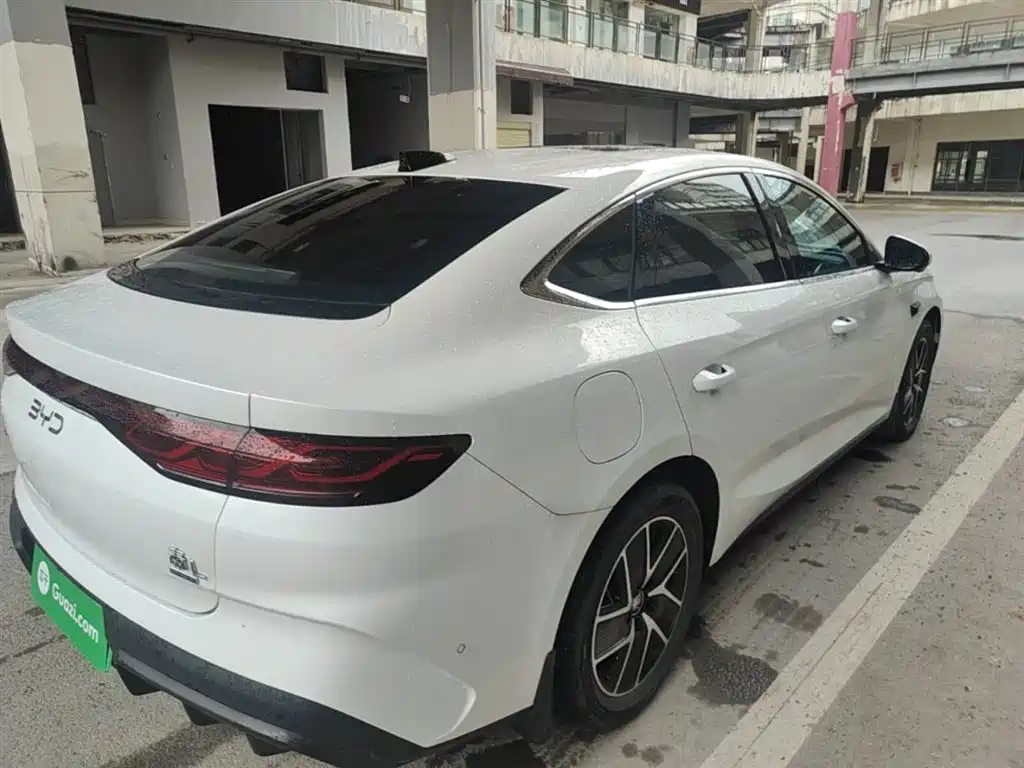 Qin L DM-i Smart Drive 120 KM Transcend