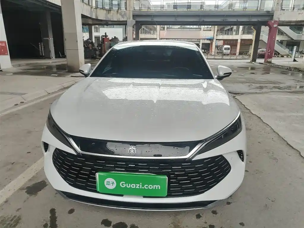 Qin L DM-i Smart Drive 120 KM Transcend