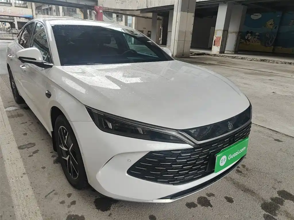 Qin L DM-i Smart Drive 120 KM Transcend