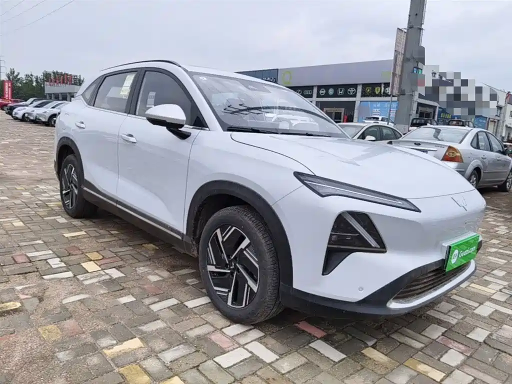 Wuling Starlight S 130 km Flagship