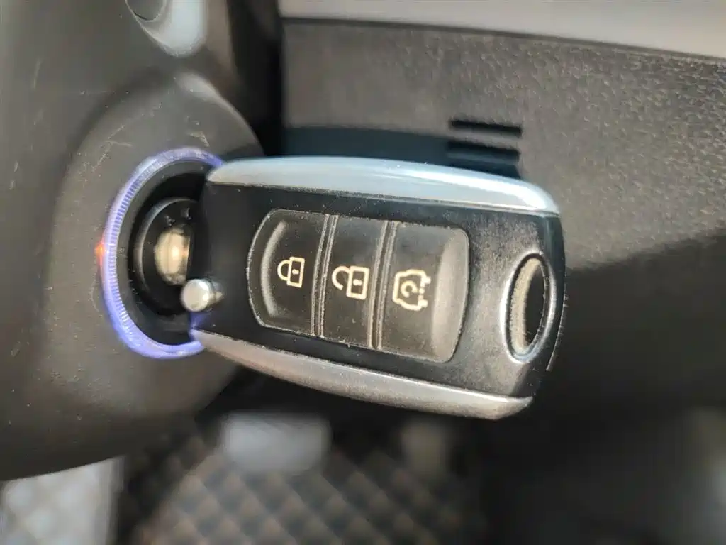 Fengguang 500 1.5 L CVT Joy
