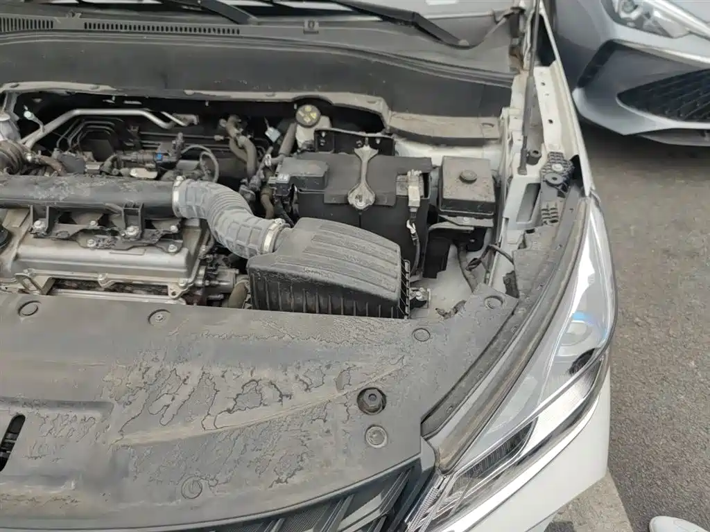 Fengguang 500 1.5 L CVT Joy