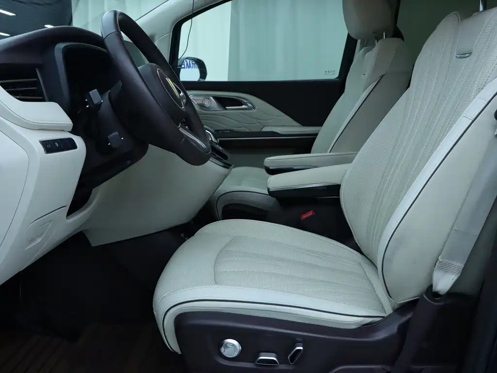 Hongqi HQ9 2.0 T Connected Flagship Leading