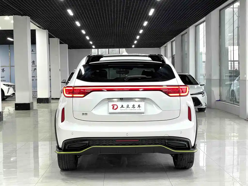 Haval Chitu Power Enjoyment 1.5 T Bronze Rabbit