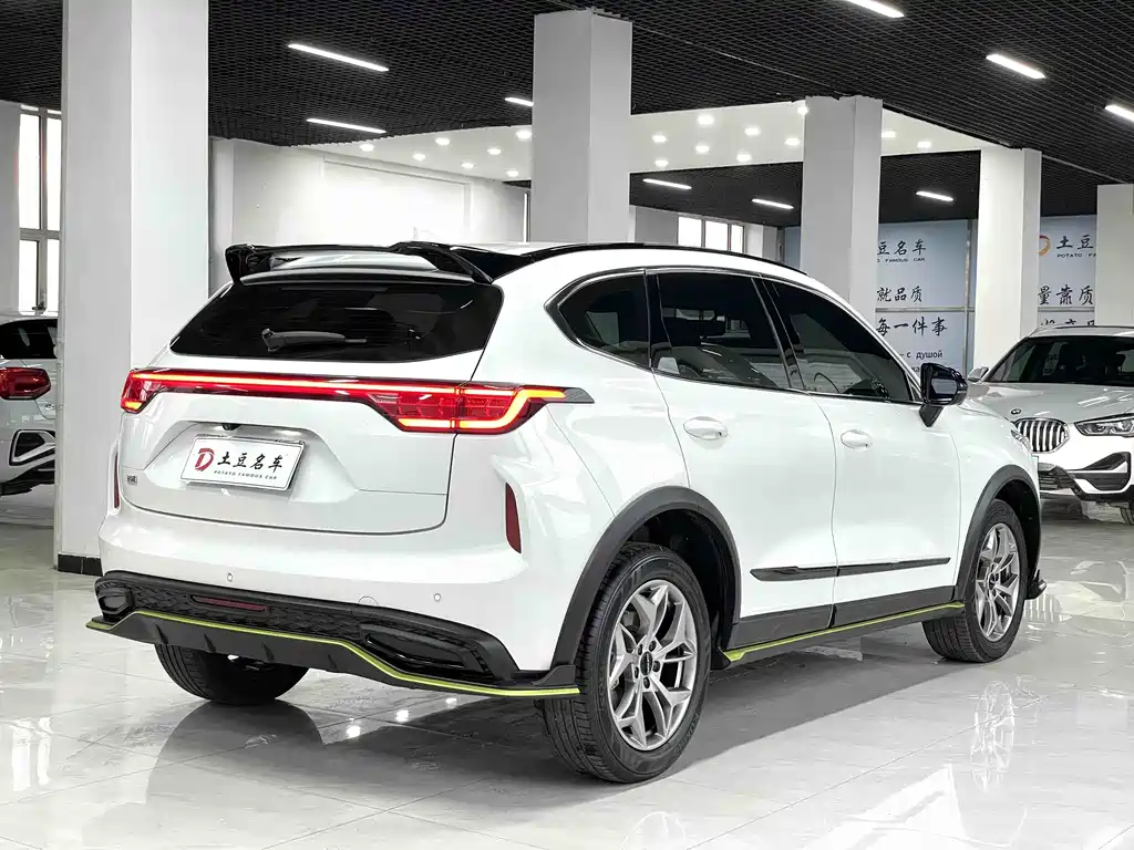 Haval Chitu Power Enjoyment 1.5 T Bronze Rabbit