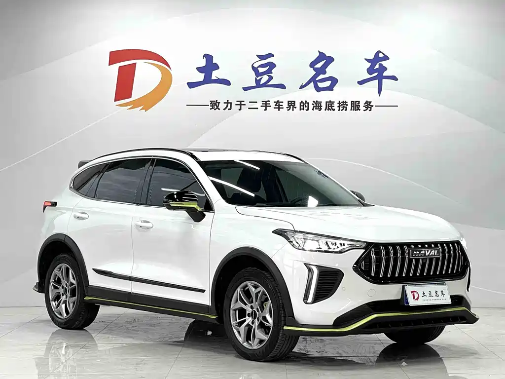 Haval Chitu Power Enjoyment 1.5 T Bronze Rabbit