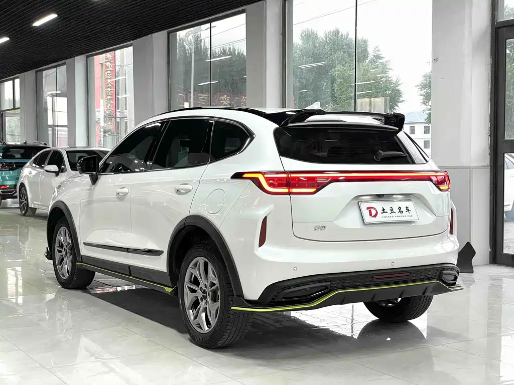Haval Chitu Power Enjoyment 1.5 T Bronze Rabbit