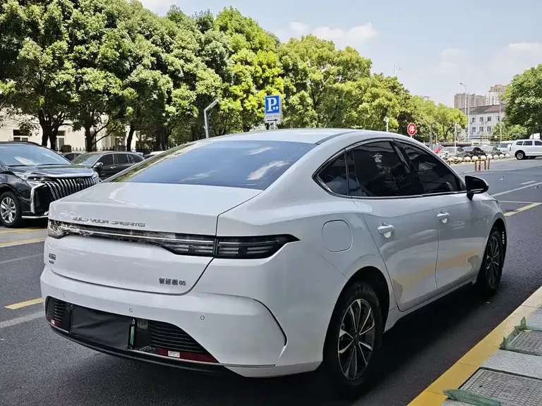 BYD Destroyer 05 Champion DM-i 55 KM Luxury