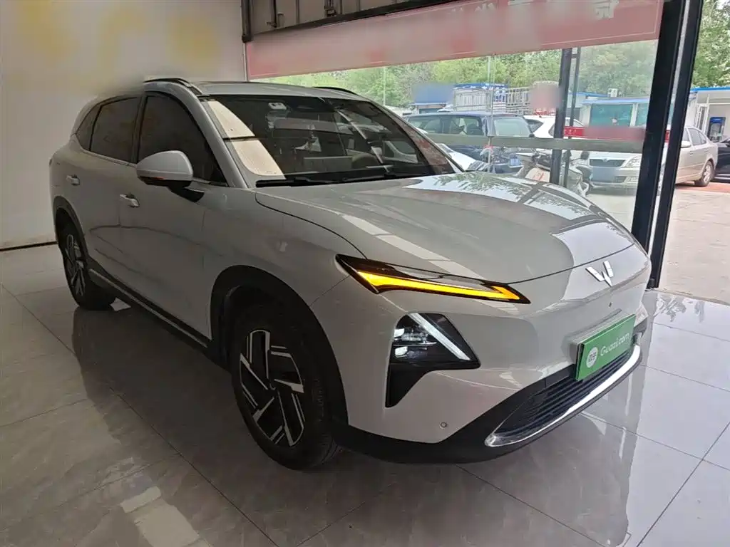 Wuling Starlight S 130 km Flagship