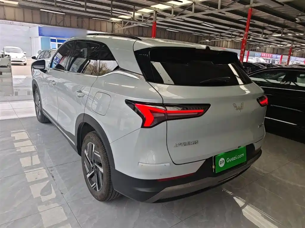 Wuling Starlight S 130 km Flagship