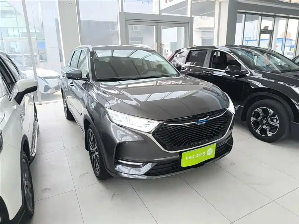 Changan Oshan X7 1.5 T Auto Premium
