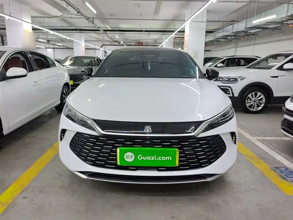 Qin L DM-i Smart Drive 120 KM Transcend