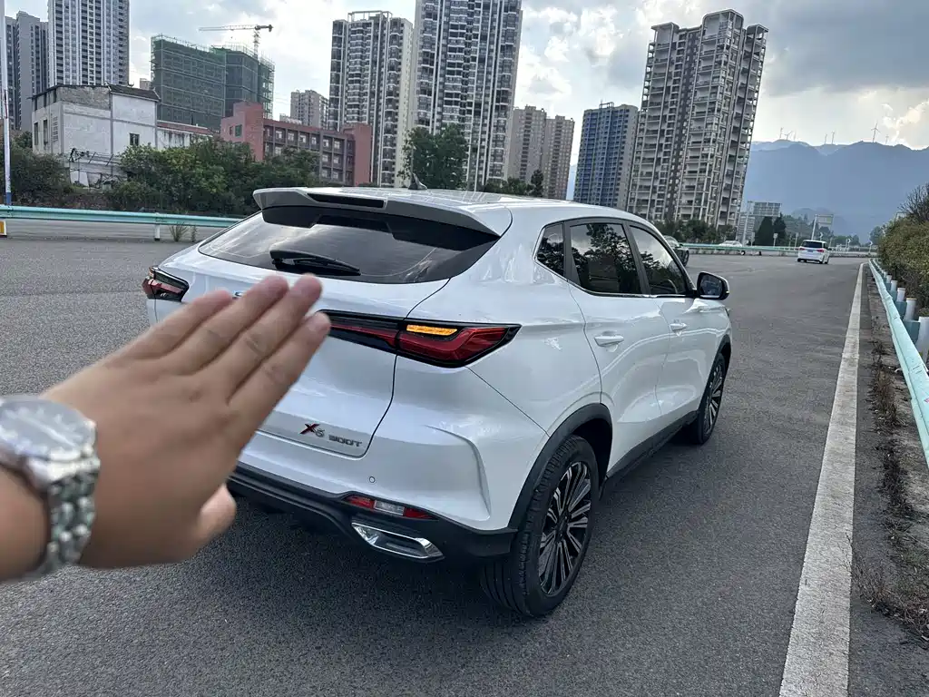 Changan Oshan X5 1.5 T DCT Distinguished