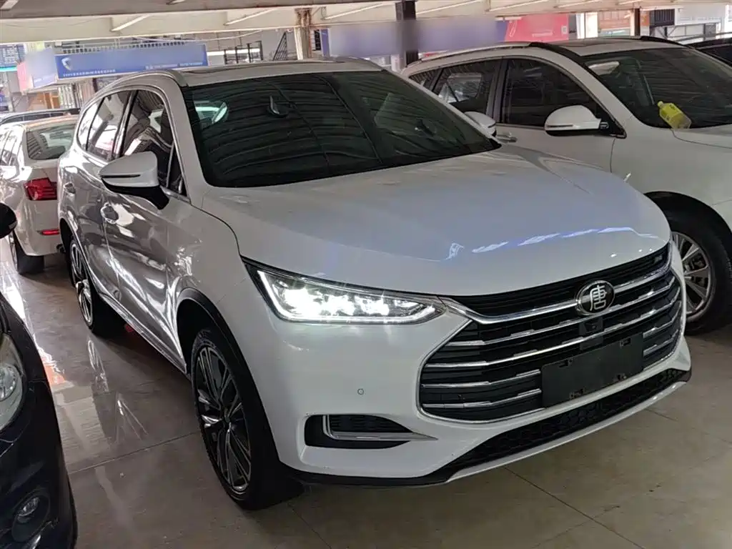 Tang 2.0 T Auto Connected Distinguished 7-seat CN-VI
