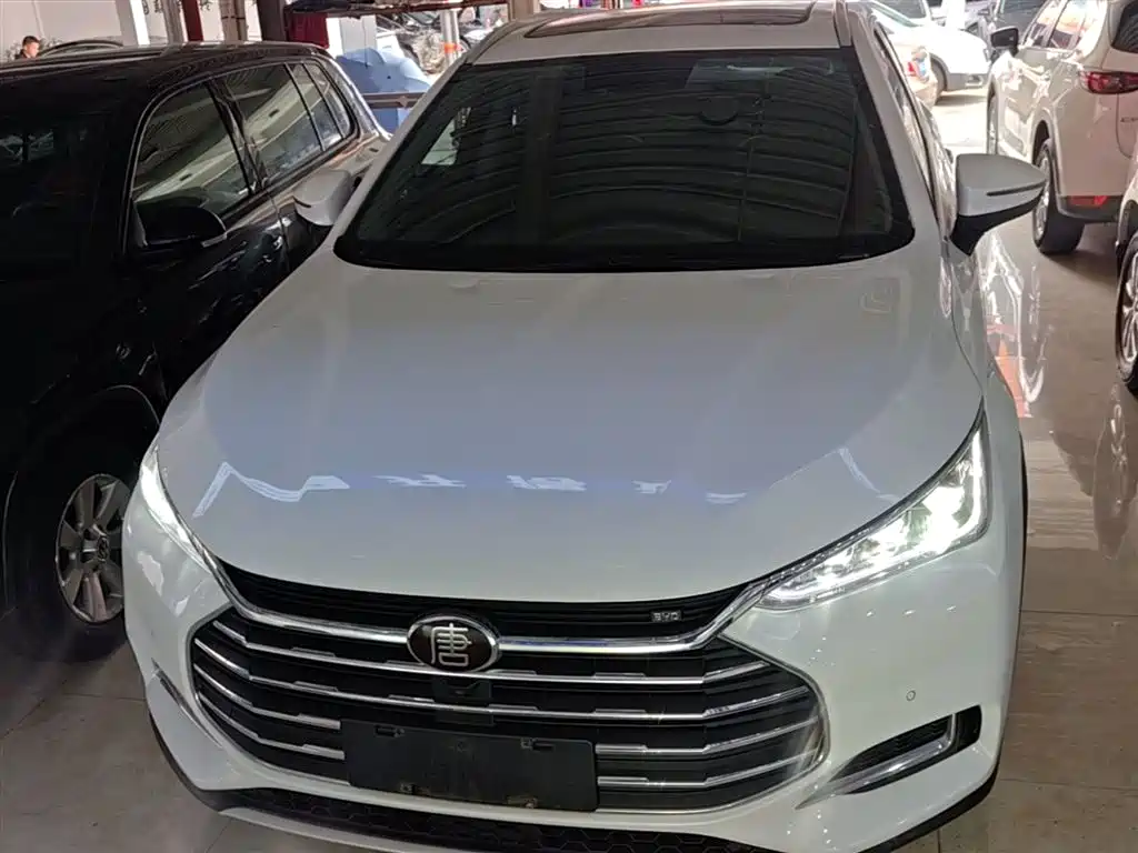 Tang 2.0 T Auto Connected Distinguished 7-seat CN-VI