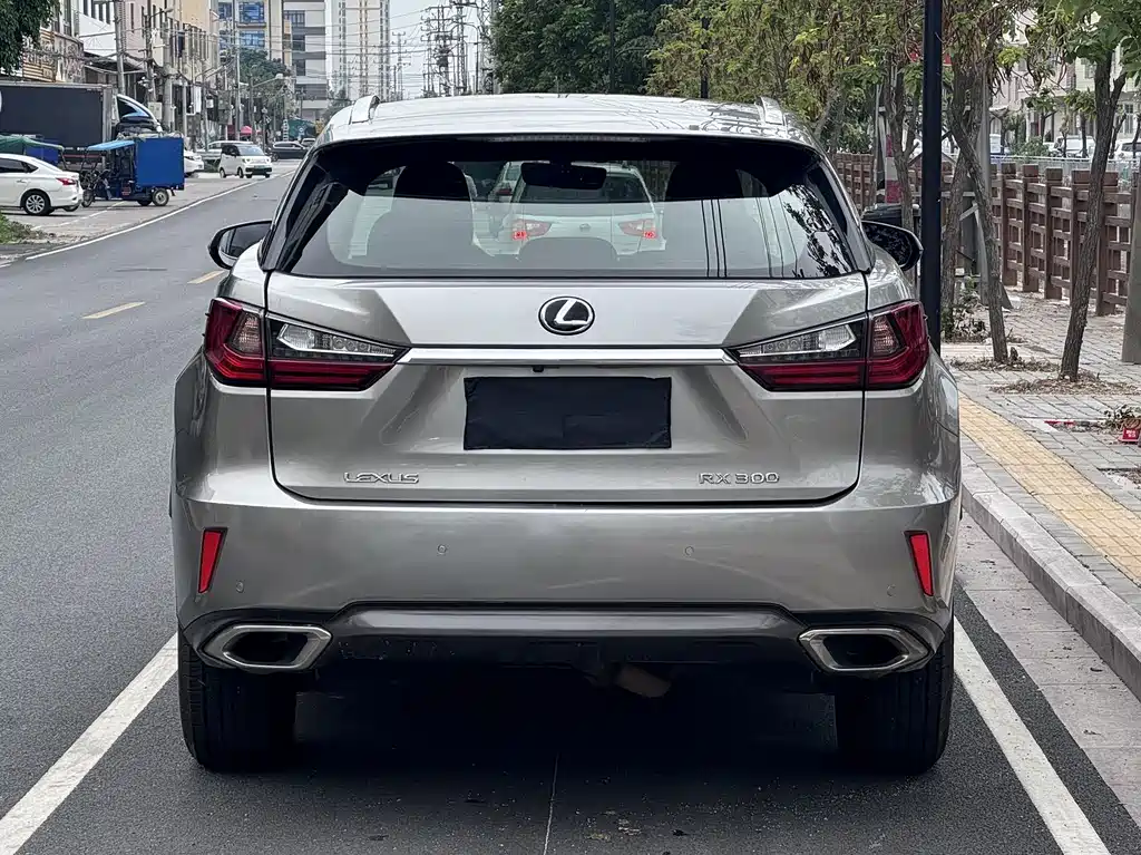 Lexus RX 300 2 WD Elite CN-V