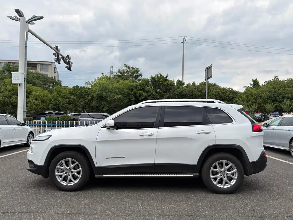 Cherokee 2.4 L Professional Intelligent
