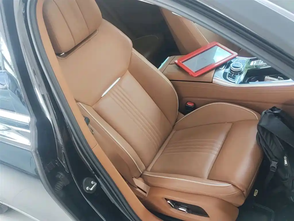 Hongqi H9 2.0 T Connected Flagship Enjoyment