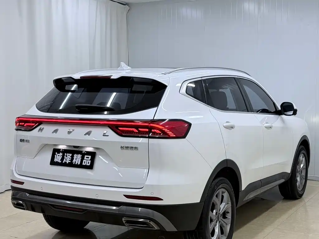 Haval H6 China Style 1.5 T Auto Champion