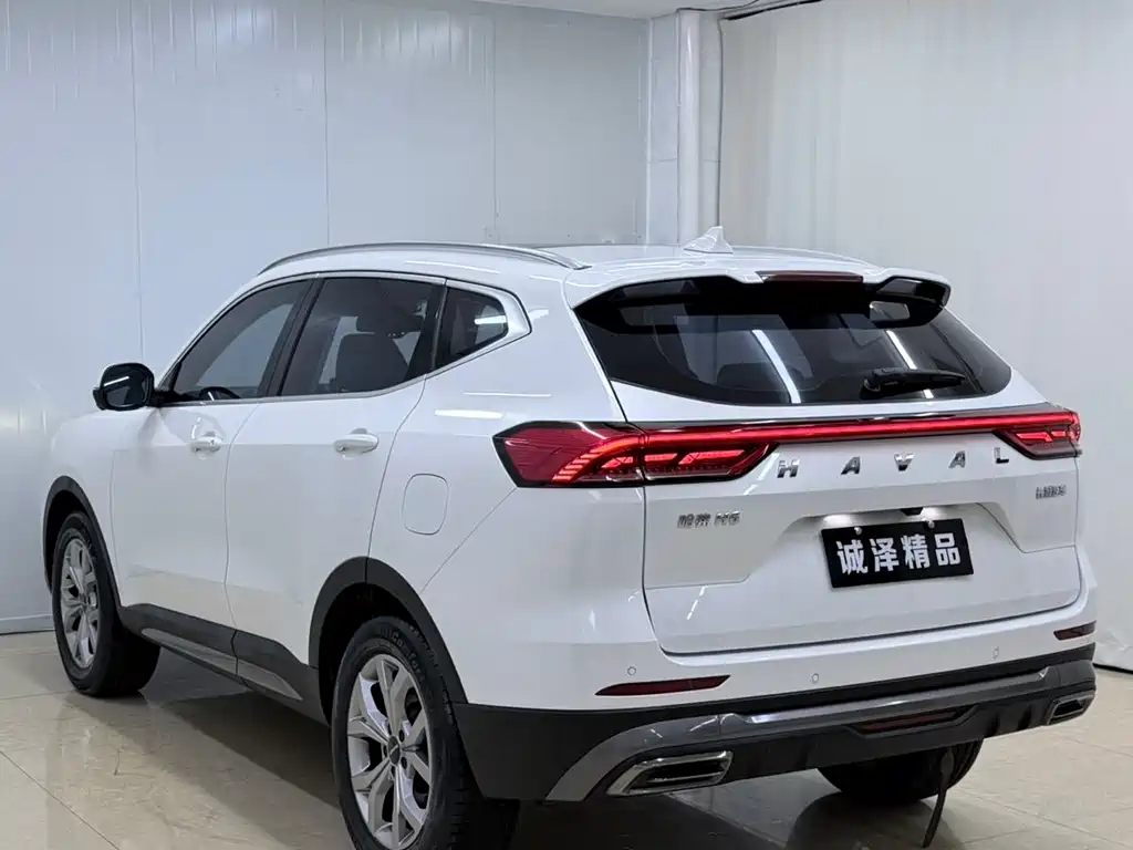 Haval H6 China Style 1.5 T Auto Champion
