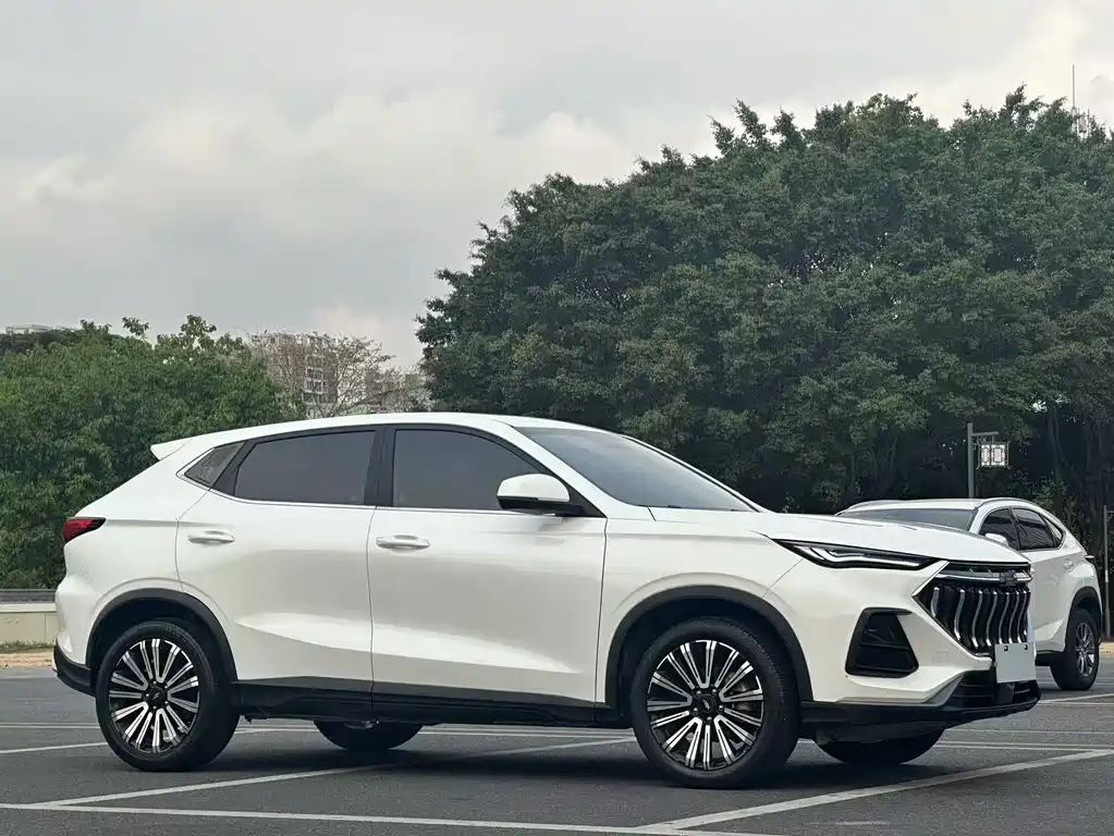 Changan Oshan X5 1.5 T DCT Distinguished