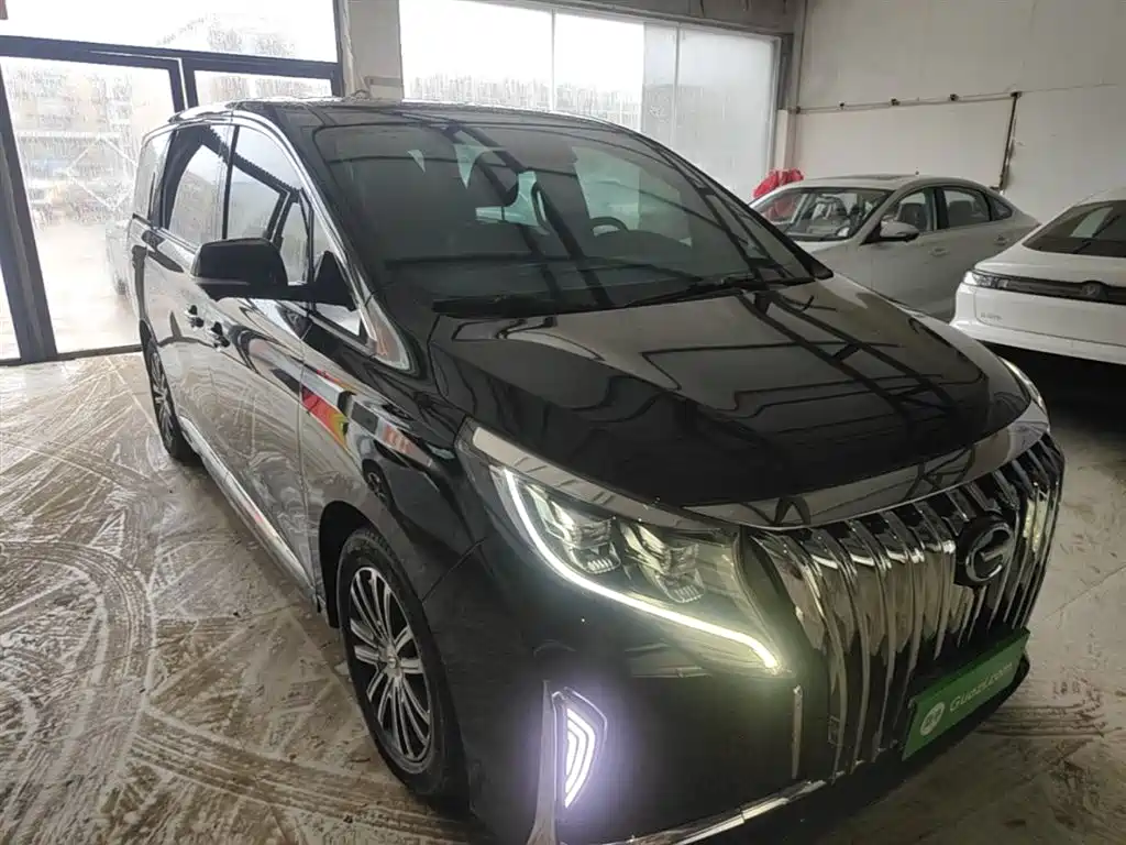 GAC Trumpchi M8 Leading Show Series 390 T Distinguished