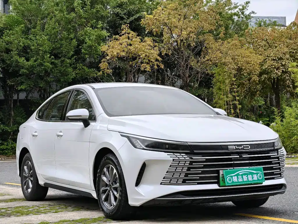 Destroyer 05 Glory DM-i 55 KM Luxury
