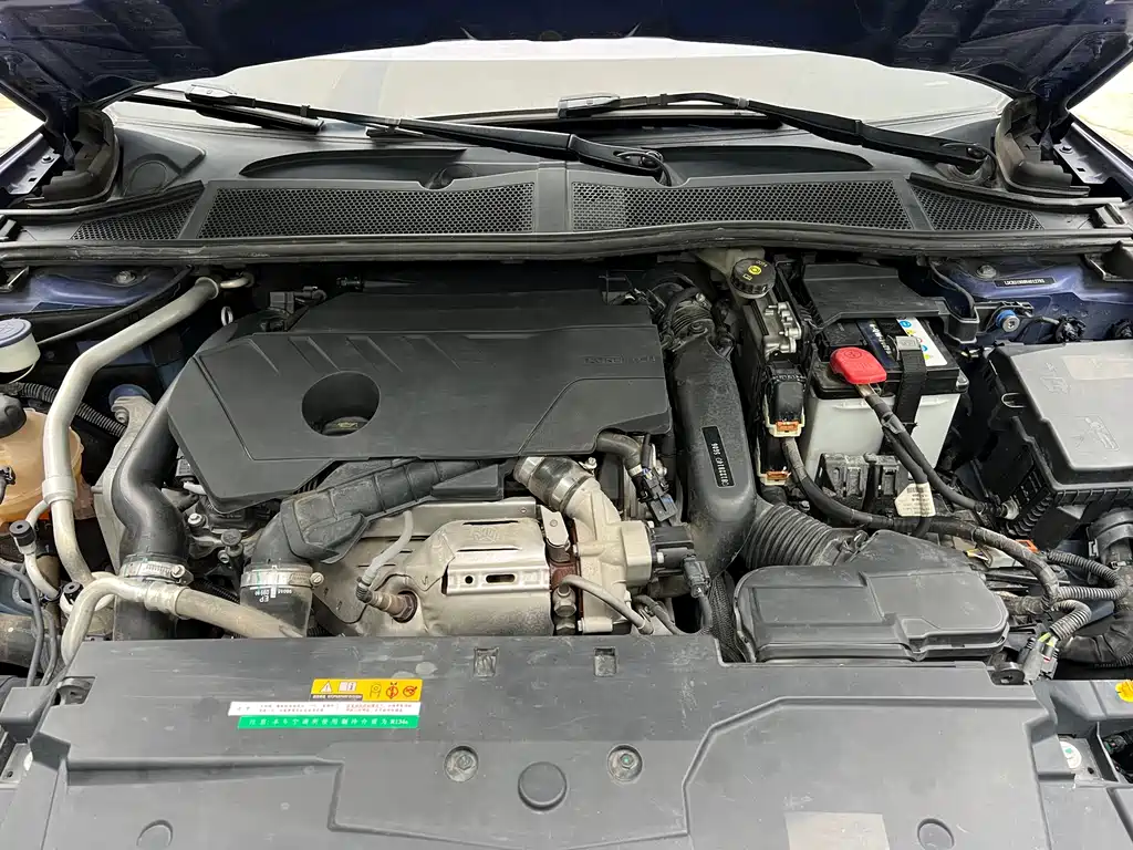 C5 X 1.6 T Extraordinary Enjoyment