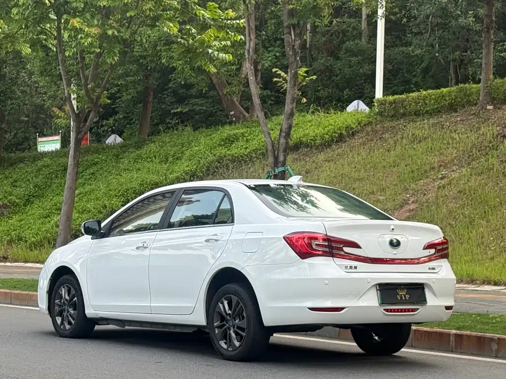 Qin NEV 1.5 T Distinguished
