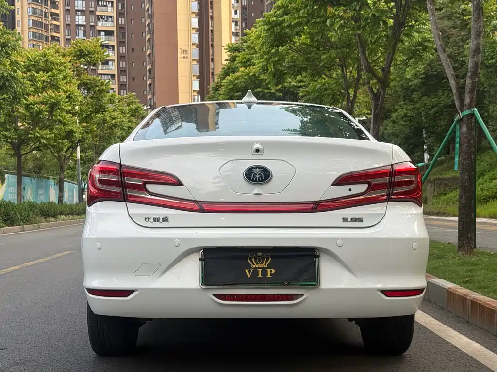 Qin NEV 1.5 T Distinguished