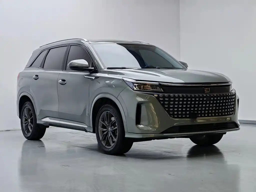 Landian E5 蓝电E5 2023款 1.5 L DE-i 100 KM臻享型 5座