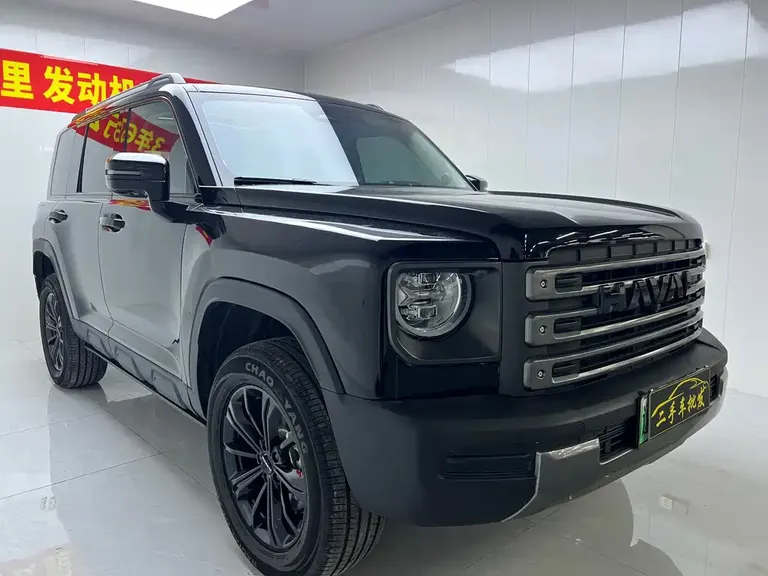 Haval Menglong NEV Hi4 145 Cross
