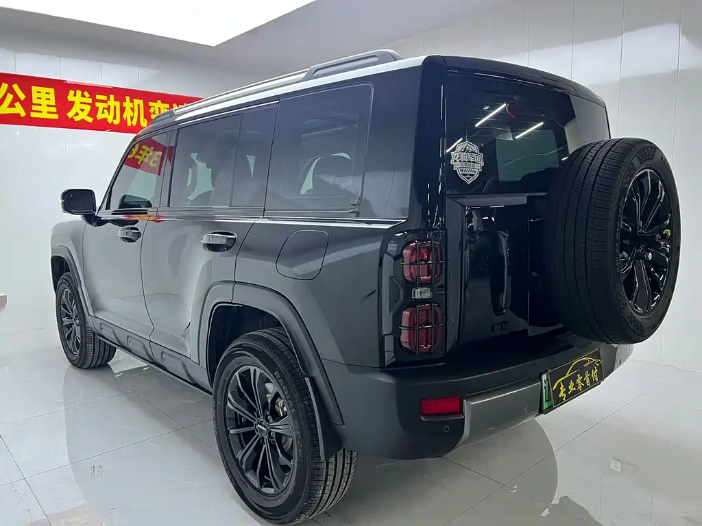 Haval Menglong NEV Hi4 145 Cross