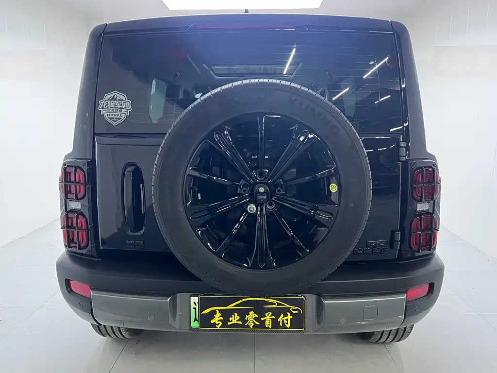 Haval Menglong NEV Hi4 145 Cross