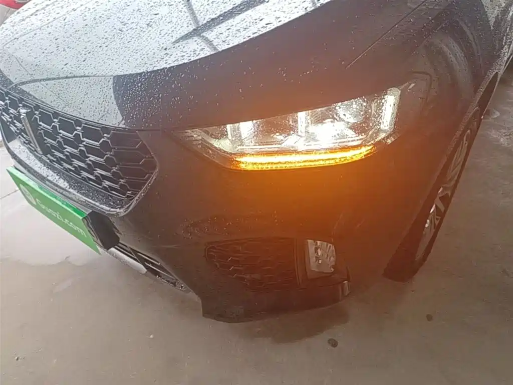 WEY VV5 2.0 T Super Luxury