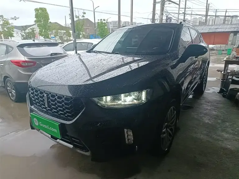 WEY VV5 2.0 T Super Luxury