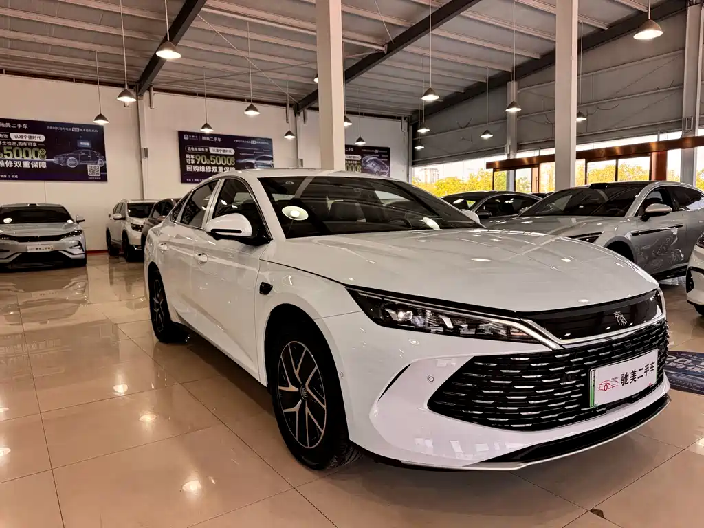 Qin L DM-i Smart Drive 120 KM Transcend