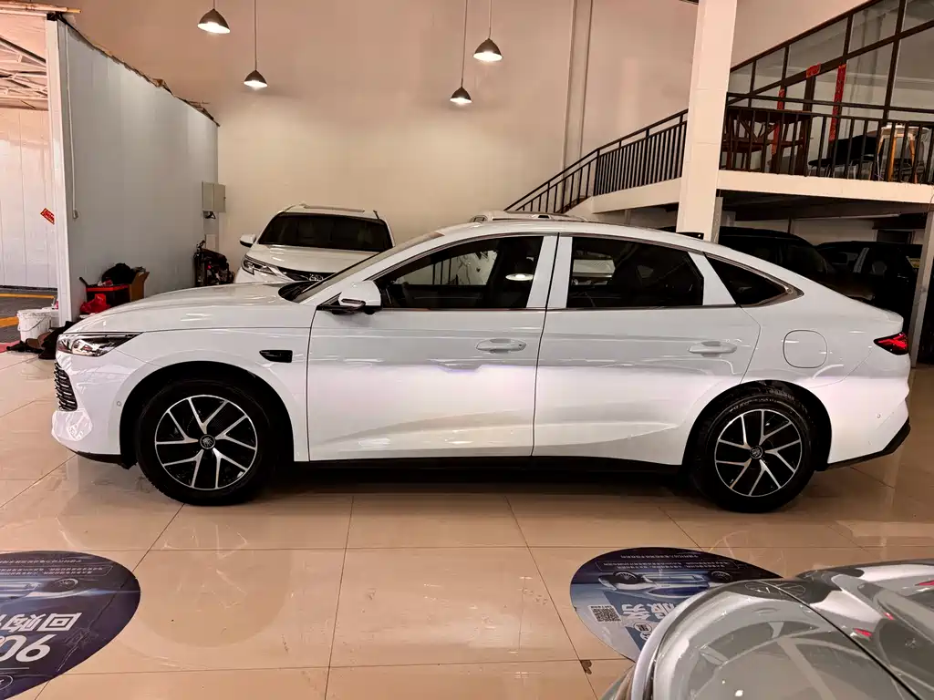 Qin L DM-i Smart Drive 120 KM Transcend