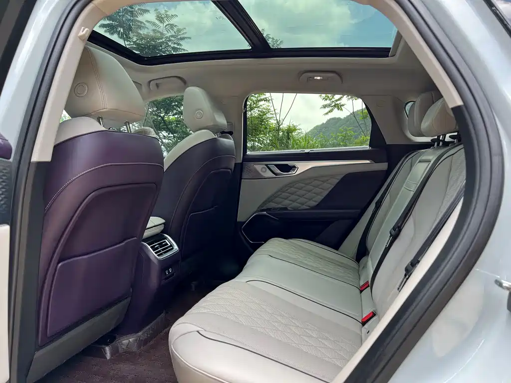 WEY Mocha 2.0 T 2 WD Pure