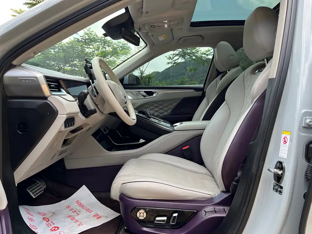 WEY Mocha 2.0 T 2 WD Pure