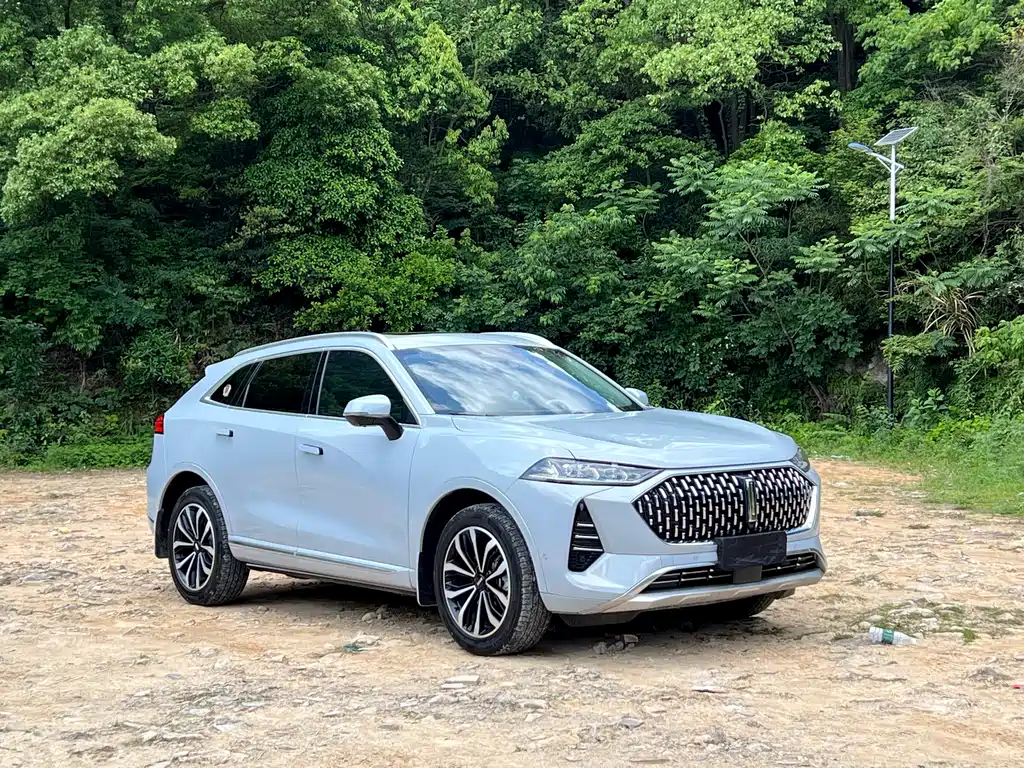 WEY Mocha 2.0 T 2 WD Pure