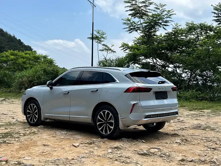WEY Mocha 2.0 T 2 WD Pure